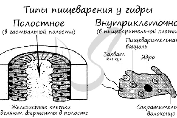 Ссылка на мега в тор браузере